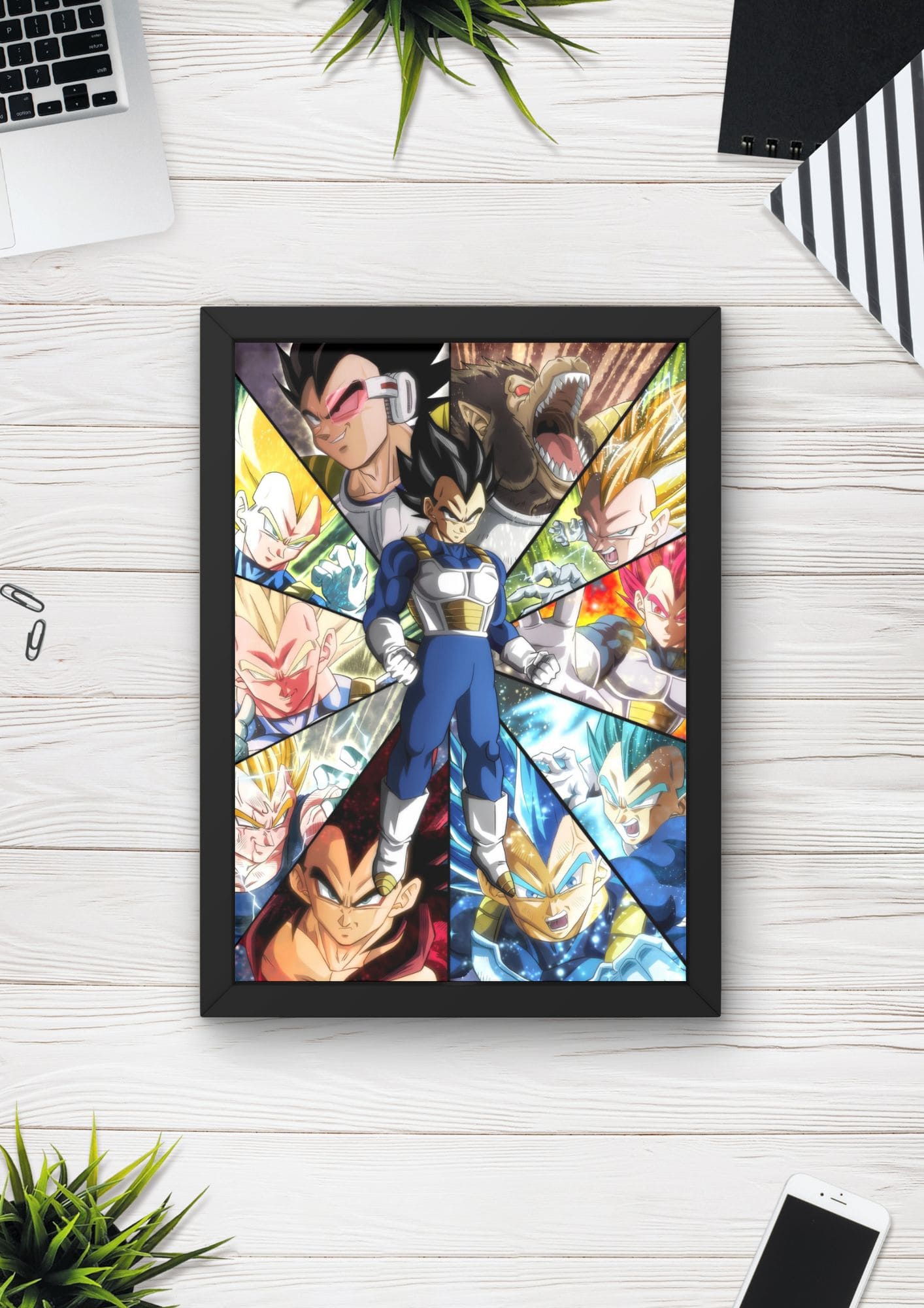 VEGETA 008 | FRAME